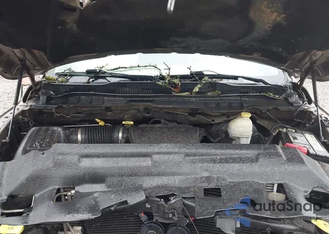 2010 Dodge Ram 1500 St from USA, damaged, VIN 1D7RB1GP8AS118187